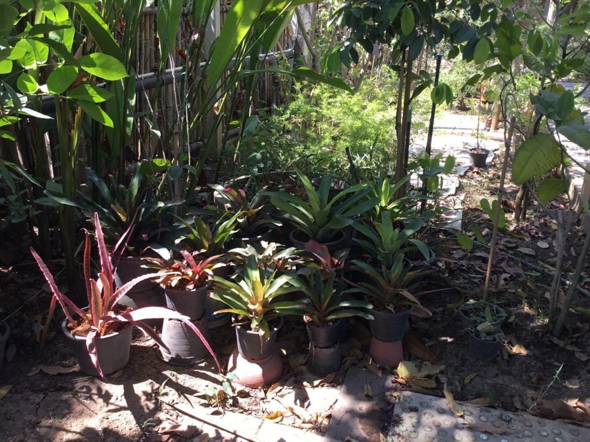 Rustic​ Charm​ Suphan​ Ban Tha Pong Exterior photo